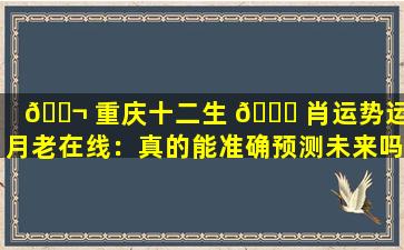 🐬 重庆十二生 🐅 肖运势运程月老在线：真的能准确预测未来吗